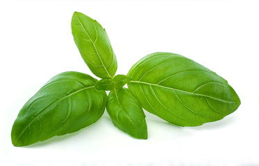 Składniki paluszków gryczanych zielonych - bazylia